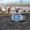 Hodinky Casio EFR-S108D-2AVUEF