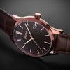 Hodinky PRIM Parita Men 24 W01P.13228.D