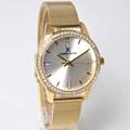 Hodinky Daniel Klein DK13696-2