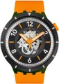 Hodinky SWATCH SB03G107