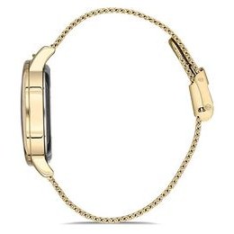 Hodinky Daniel Klein DK12602-4