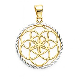 Zlatý 585/1000 přívěsek z bílého a žlutého zlata 1421402