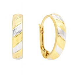 Zlaté 585/1000 náušnice gravírované s bílým zlatem - klapkové TU-3013