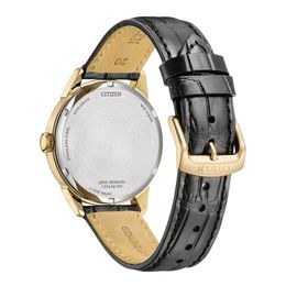 Hodinky Citizen Elegant CA4720-52L