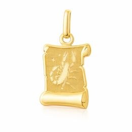 Zlatý přívěsek FE-22661 znamení zvěrokruhu ŠTÍR