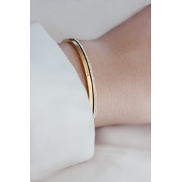 Náramek JVD JGB10G nerez ocel