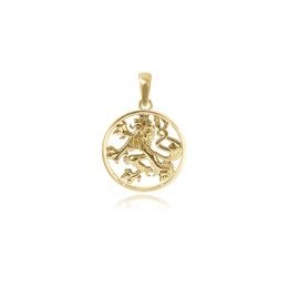 MOISS stříbrný přívěsek ČESKÝ LEV