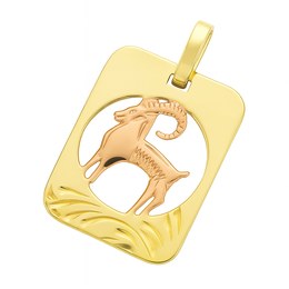 Zlatý přívěsek ze žlutého a červeného zlata zvěrokruh Kozoroh
