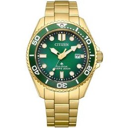 Hodinky Citizen PROMASTER MARINE BN0262-59W