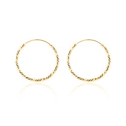 Náušnice JVD SVLE1739XH2GOSR stříbrné