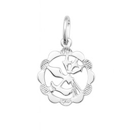 Stříbrný přívěs zvěrokruh Vodnář - kytička