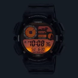 Hodinky Casio LTP-B166D-2AVEF