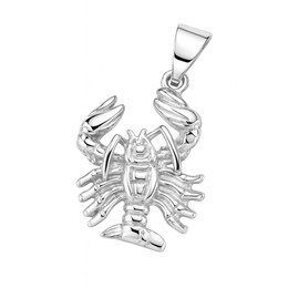 Stříbrný přívěs zvěrokruh Rak