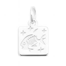 Stříbrný přívěs zvěrokruh Ryby malá destička