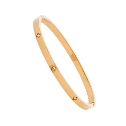 Náramek JVD JGB17R nerez ocel