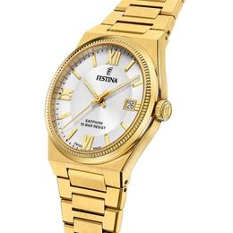 Hodinky Festina SWISS MADE 20058/2