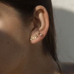 Náušnice JVD SVLE3308XF3GPSR stříbrné