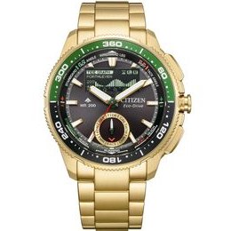 Citizen Promaster JV3002-51E