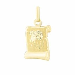 Zlatý přívěsek FE-22661 znamení zvěrokruhu BERAN