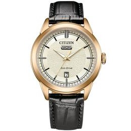 Hodinky Citizen Elegant AW0153-04AC
