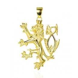 MOISS stříbrný přívěsek ČESKÝ LEV