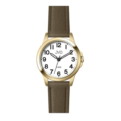 Náramkové hodinky JVD J4197.6
