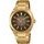 Hodinky Casio EFK-200DG-5AER