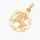 Zlatý přívěsek ze žlutého a růžového zlata zvěrokruh Kozoroh