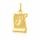Zlatý přívěsek FE-22661 znamení zvěrokruhu ŠTÍR