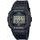 Hodinky Casio DW-5600E-1VER