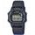 Hodinky Casio W-220HF-2AVEF