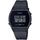 Hodinky Casio LW-204-1BEF