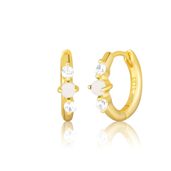 Náušnice JVD SVLE3073XH2G100 stříbrné