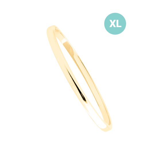 Náramek JVD JGB5GXL nerez ocel