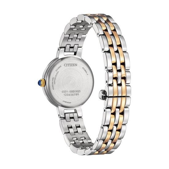 Hodinky Citizen CITIZEN L EM0996-84Y