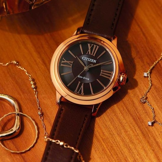 Hodinky Citizen CITIZEN L EM1163-09X