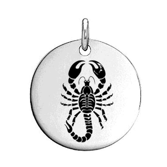 Ocelový přívěsek zvěrokruh ŠTÍR