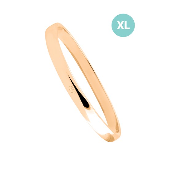 Náramek JVD JGB6RXL nerez ocel