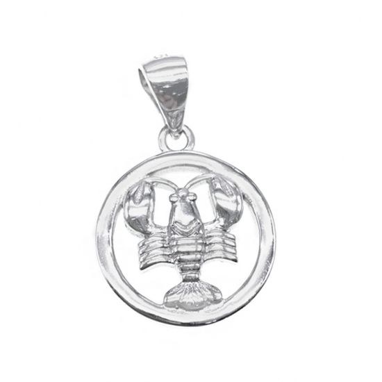 MOISS stříbrný přívěsek RAK