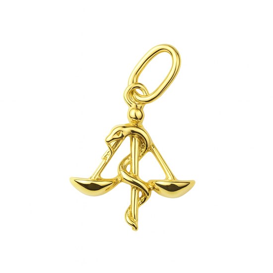 Zlatý 585/1000 přívěsek ze žlutého zlata Eskulap P70152