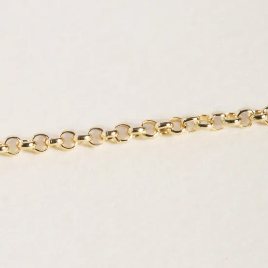 Stříbrný zlacený řetízek Victoria Cruz A0003-45DG