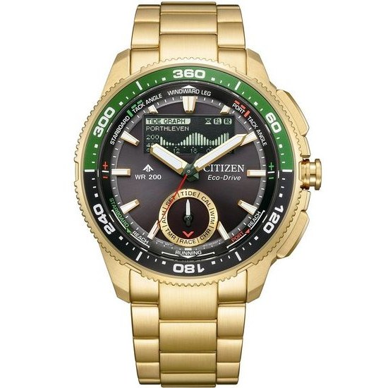 Citizen Promaster JV3002-51E