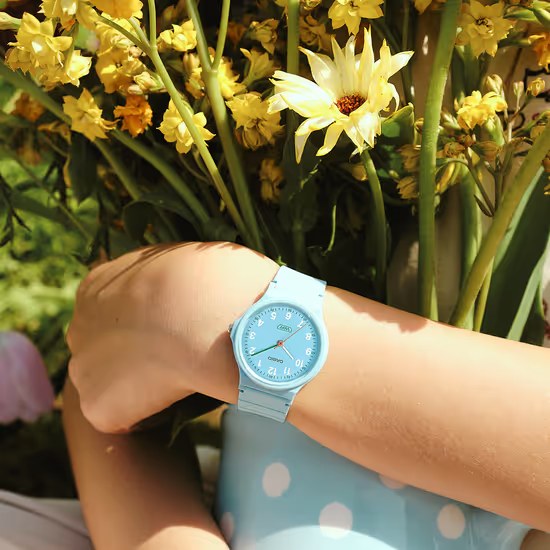 Hodinky Casio LQ-24B-2BEF
