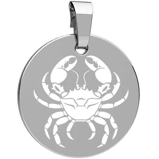 Stříbrný přívěsek zvěrokruh rak 12 mm