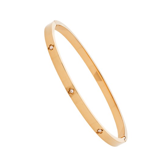 Náramek JVD JGB17R nerez ocel