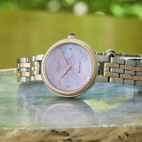 Hodinky Citizen CITIZEN L EM0996-84Y