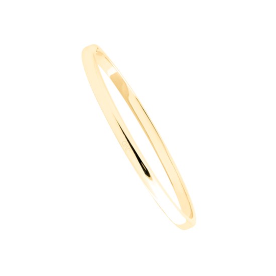 Náramek JVD JGB5G nerez ocel