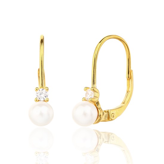 Náušnice JVD SVLE3402XJ6GP00 stříbrné