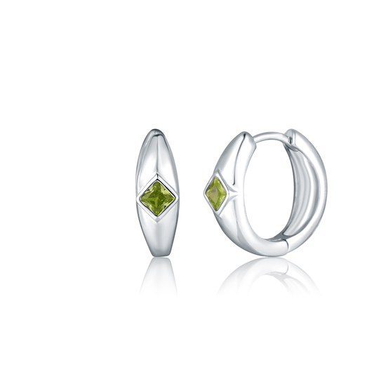 Náušnice JVD SVLE0849SH2Z300 stříbrné