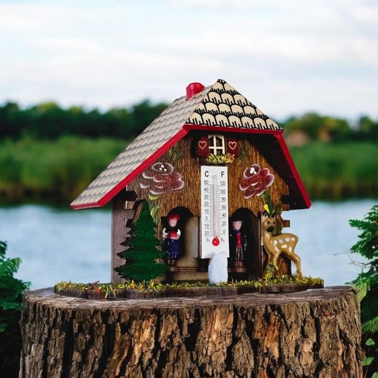 Chaloupka Trenkle B816